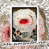Load image into Gallery viewer, Special Guest Yuko Shimizu Sleeves Code | Secret Lair